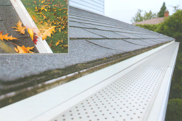 Gutter Guard-Reeves Roof
